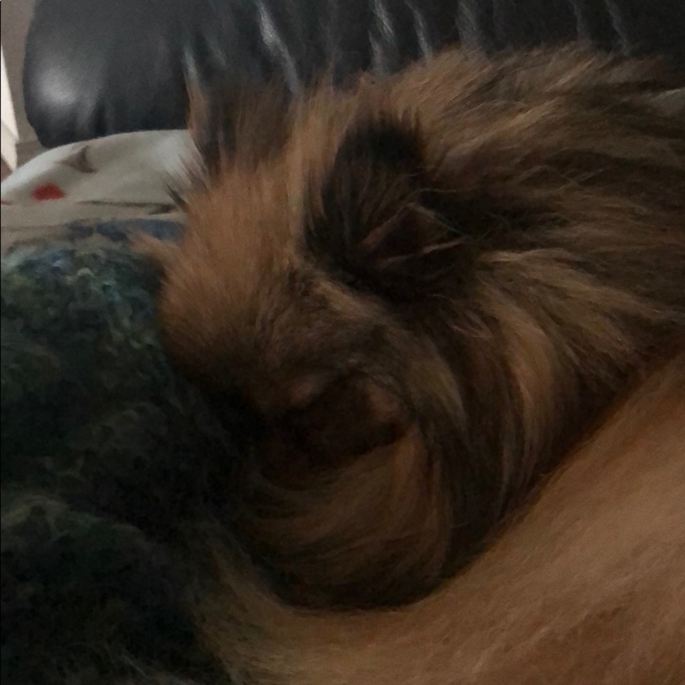 Meet your Posher, Christopher